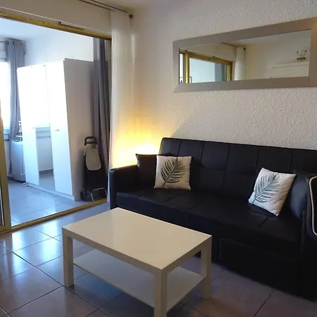 Avec Loggia Et Wifi - Fr-1-833-21 *
