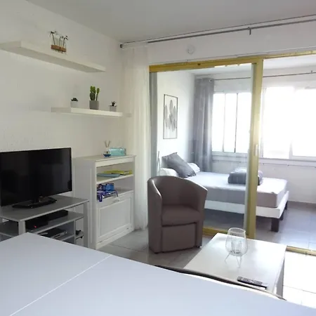 Apartment Avec Loggia Et Wifi - Fr-1-833-21 Canet-en-Roussillon